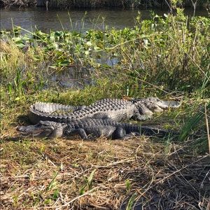 Meet your Posher, Gavjn